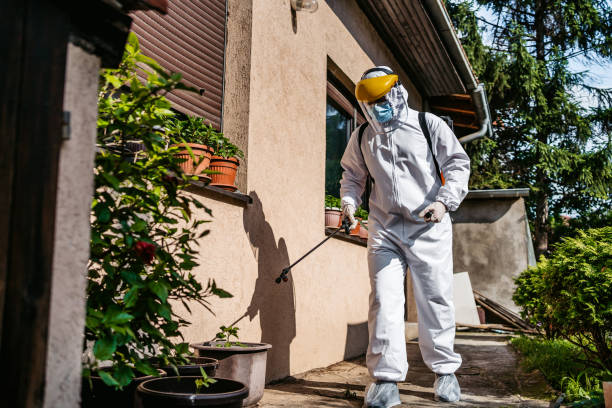 Best Insect Control  in Pine Bluffs, WY