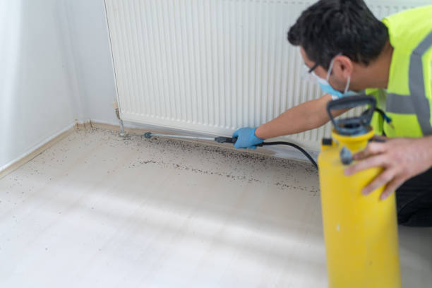 Reliable Pine Bluffs, WY Pest Control Solutions